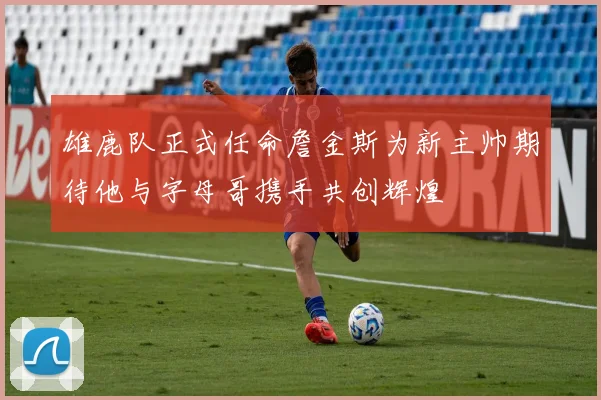 雄鹿队正式任命詹金斯为新主帅期待他与字母哥携手共创辉煌